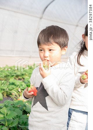 笑顔でいちごを食べる男の子 38297384