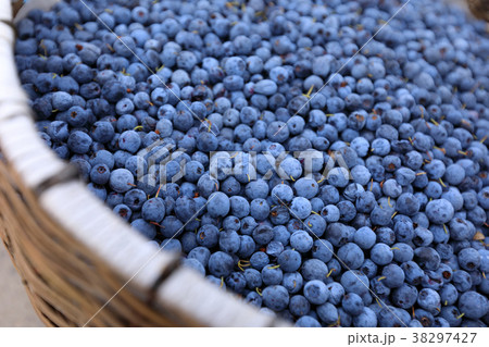 closeup of picked fresh blueberries in basket closeup of picked fresh blueberries in basket 38297427