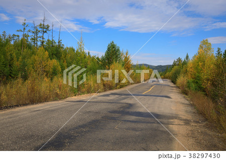 closeup of trail through colorful autumn forest 38297430