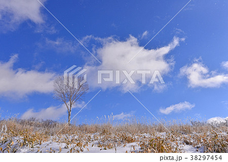 霧氷と青空  長野県霧ヶ峰高原 霧氷と青空  長野県霧ヶ峰高原 38297454