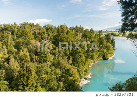 Deep forest jungle tropical Deep forest jungle tropical 38297801