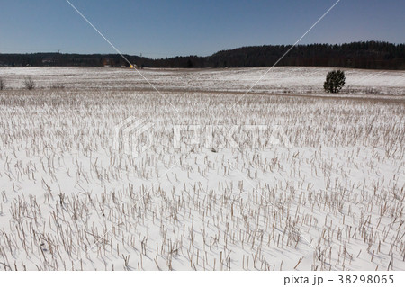 Snowy field at winter night 38298065