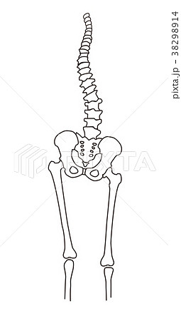 身体の歪み 骨格 38298914
