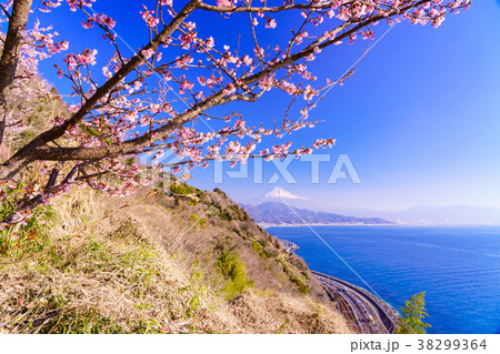 (静岡県)桜咲く、薩埵峠から見る富士山 (静岡県)桜咲く、薩埵峠から見る富士山 38299364