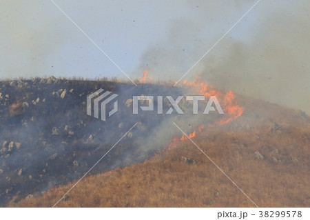 山焼き 38299578