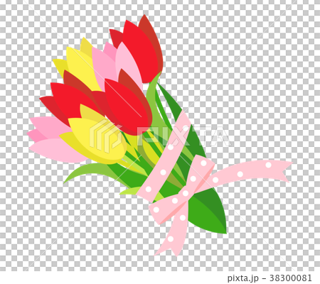 Tulip 7 38300081