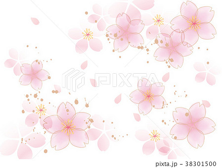 咲くふわ 桜 白 38301500