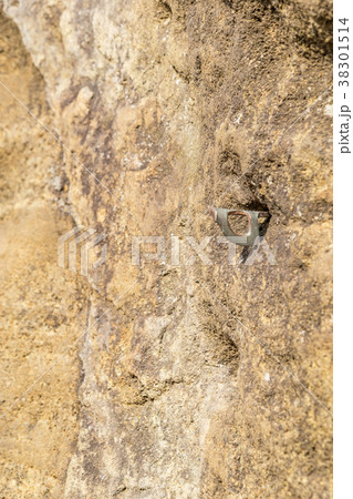 【神奈川県】ロッククライミング 【神奈川県】ロッククライミング 38301514