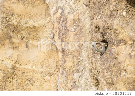 【神奈川県】ロッククライミング 38301515