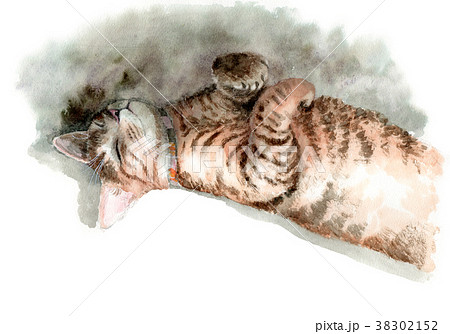 水彩で描いた昼寝するキジトラの子猫 38302152