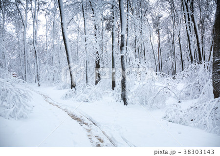Winter landscape with a snowfall Winter landscape with a snowfall 38303143