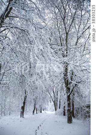 Winter white tunnel Winter white tunnel 38303235