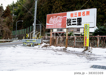 愛媛県西条市と東温市にある峠道 桜三里 愛媛県西条市と東温市にある峠道 桜三里 38303309