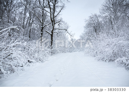 Winter landscape with a snowfall Winter landscape with a snowfall 38303330