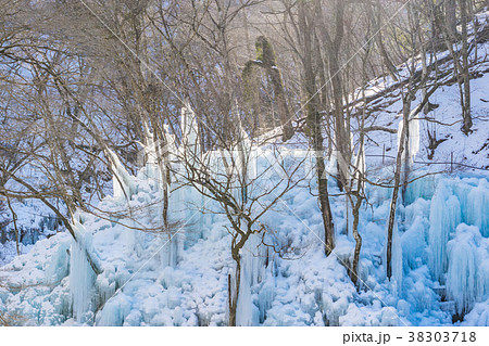 【埼玉県】尾ノ内渓谷 38303718