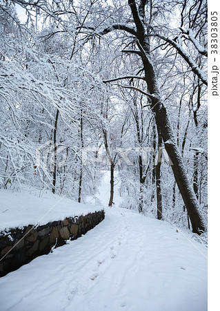 Winter landscape with a snowfall Winter landscape with a snowfall 38303805
