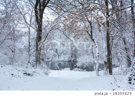 Quiet lake in the winter forest Quiet lake in the winter forest 38303829
