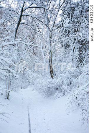 fairy tale snow-covered tunnel fairy tale snow-covered tunnel 38303919
