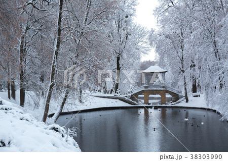 Chinese bridge in the park. Ukraine Chinese bridge in the park. Ukraine 38303990