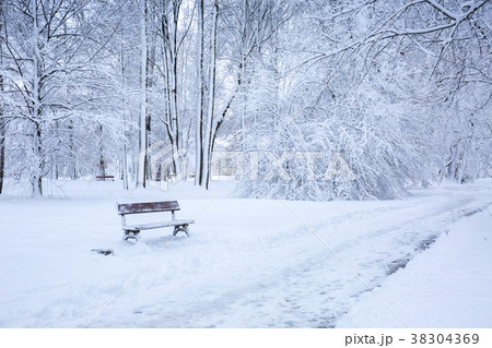 Bench under the snow near the road Bench under the snow near the road 38304369