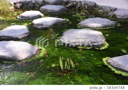 日本 ジャパン 日本国 38304788