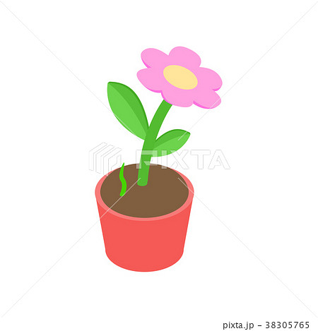Pink flower in a pot icon, isometric 3d style 38305765