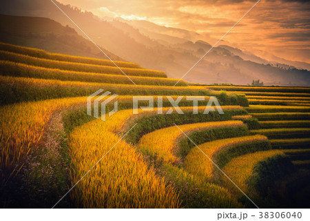 Rice fields on terraced with wooden pavilion 38306040