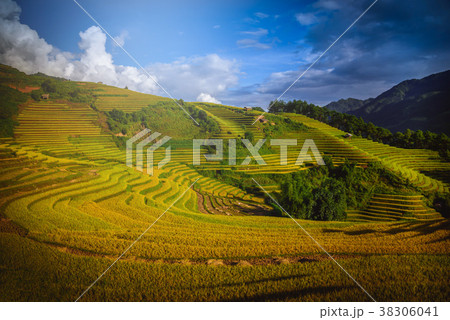Rice fields on terraced with wooden pavilion Rice fields on terraced with wooden pavilion 38306041