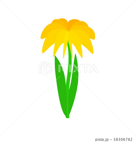 Yellow dahlia icon, isometric 3d style 38306782