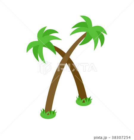 Two palm trees icon, isometric 3d style 38307254