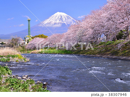 潤井川岸からの風景-223258 潤井川岸からの風景-223258 38307946