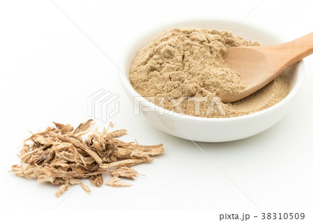 ヨウシュヤマゴボウ：poke root 38310509