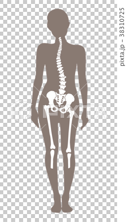 身体の歪み_女性 身体の歪み_女性 38310725