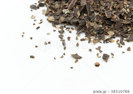 ブラダーラック(ヒバマタ):Bladder wrack ブラダーラック(ヒバマタ):Bladder wrack 38310766