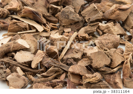 ショウブの根:Calamus root ショウブの根:Calamus root 38311164