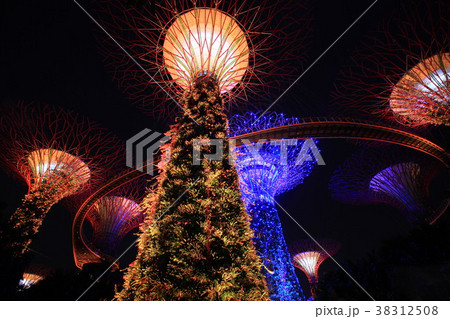 スーパーツリー・グローブ 38312508