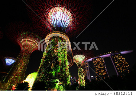 スーパーツリー・グローブ 38312511