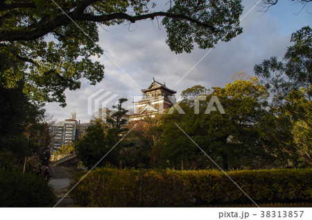 広島城 38313857