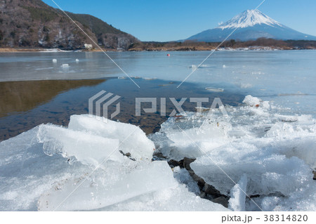 富士山　精進湖　湖面凍結　冬 38314820