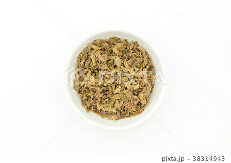 クレオソートブッシュ(チャパラル):Creosote bush (Chaparral) クレオソートブッシュ(チャパラル):Creosote bush (Chaparral) 38314943