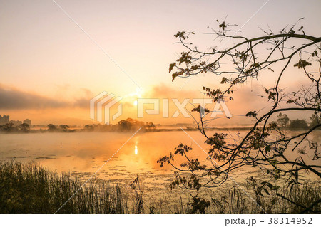 感性 夜明け 風景 38314952