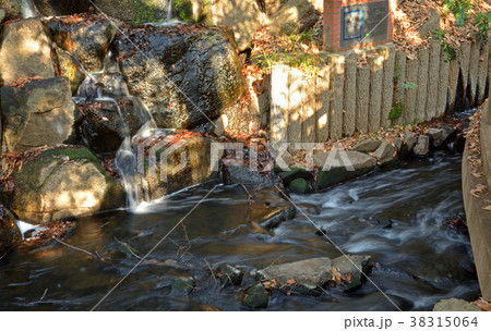 玉川上水散歩：清流復活 甦る水100選の写真素材 [38315064] - PIXTA