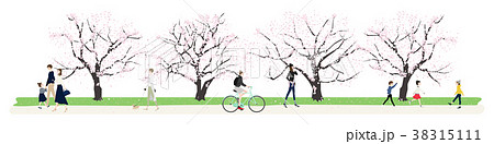 日本の春。桜並木を歩く人々のイラスト。 38315111