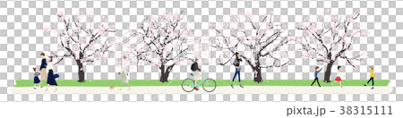 日本の春。桜並木を歩く人々のイラスト。 38315111