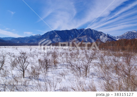 冬の奥日光 戦場ヶ原 青空と雪の平原 戦場ヶ原展望所より D 1 低木と雪の山々の写真素材