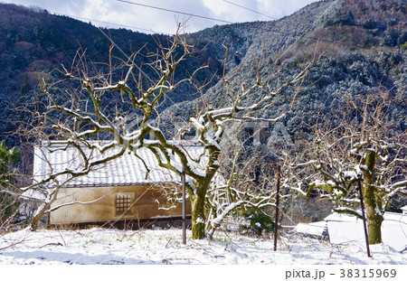 雪の山村風景 和歌山県伊都郡かつらぎ町四郷 雪の山村風景 和歌山県伊都郡かつらぎ町四郷 38315969