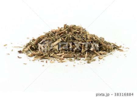 キンミズヒキ（アグリモニー）: Agrimony 38316884