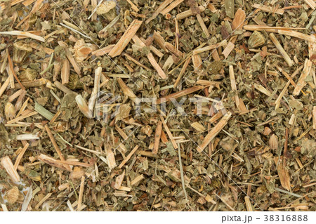 キンミズヒキ(アグリモニー): Agrimony キンミズヒキ(アグリモニー): Agrimony 38316888