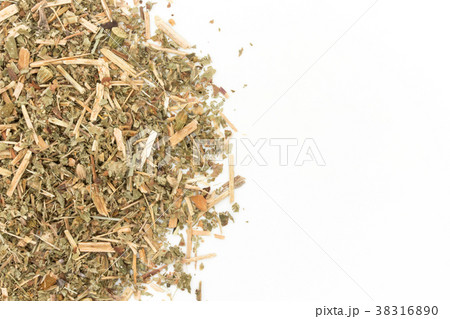 キンミズヒキ(アグリモニー): Agrimony キンミズヒキ(アグリモニー): Agrimony 38316890