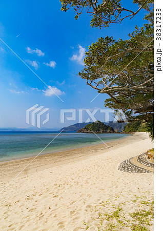 ヤドリ浜 38317233